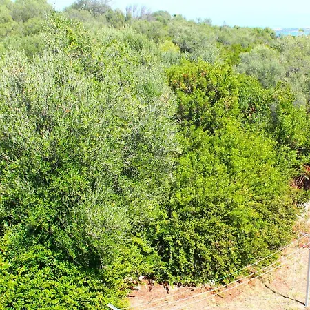 Rosa Con Piscina E Giardino Uso Esclusivo Villa Porto Rotondo