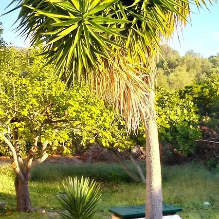 Rosa Con Piscina E Giardino Uso Esclusivo * Porto Rotondo
